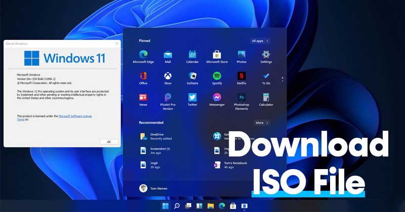 download windows 11 iso free