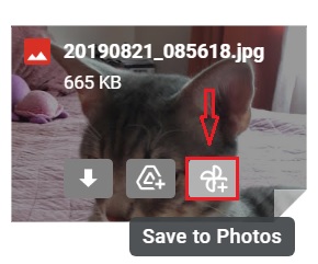 Saving Photos from Gmail to Google Photos 1
