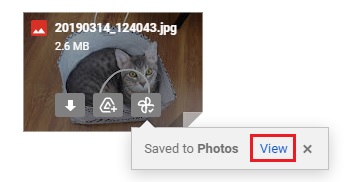 saving photos from gmail to google photos