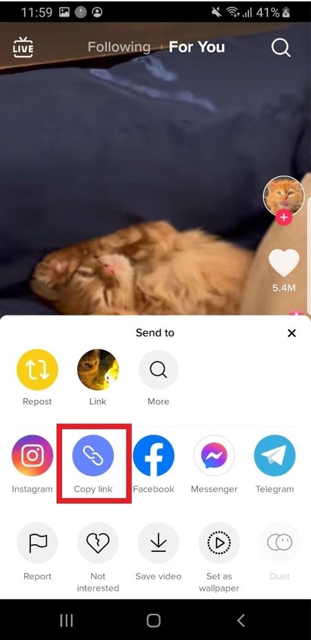 Copy the link to the video on TikTok so you can paste it into the Timate app bar