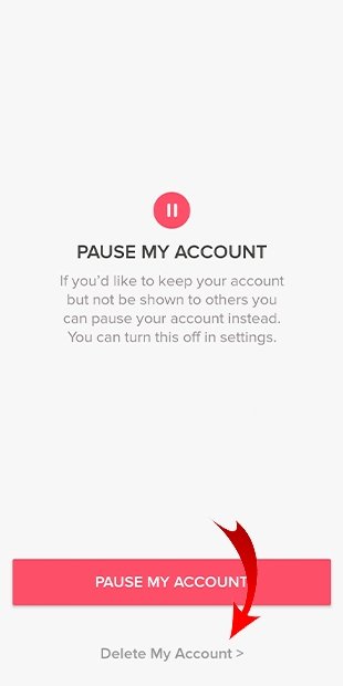 Confirm the action by clicking on Delete my Account
