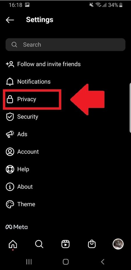 Go to your account's Privacy tab