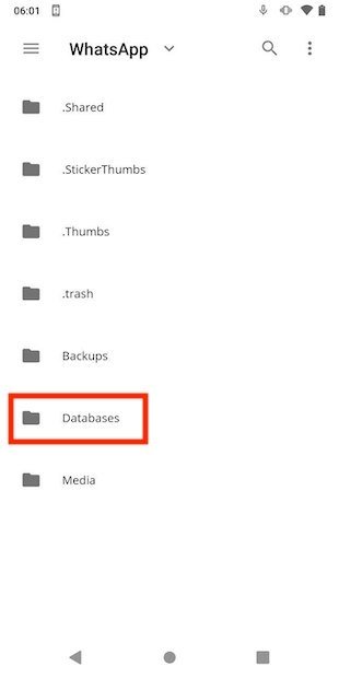 Access to the app's database directory
