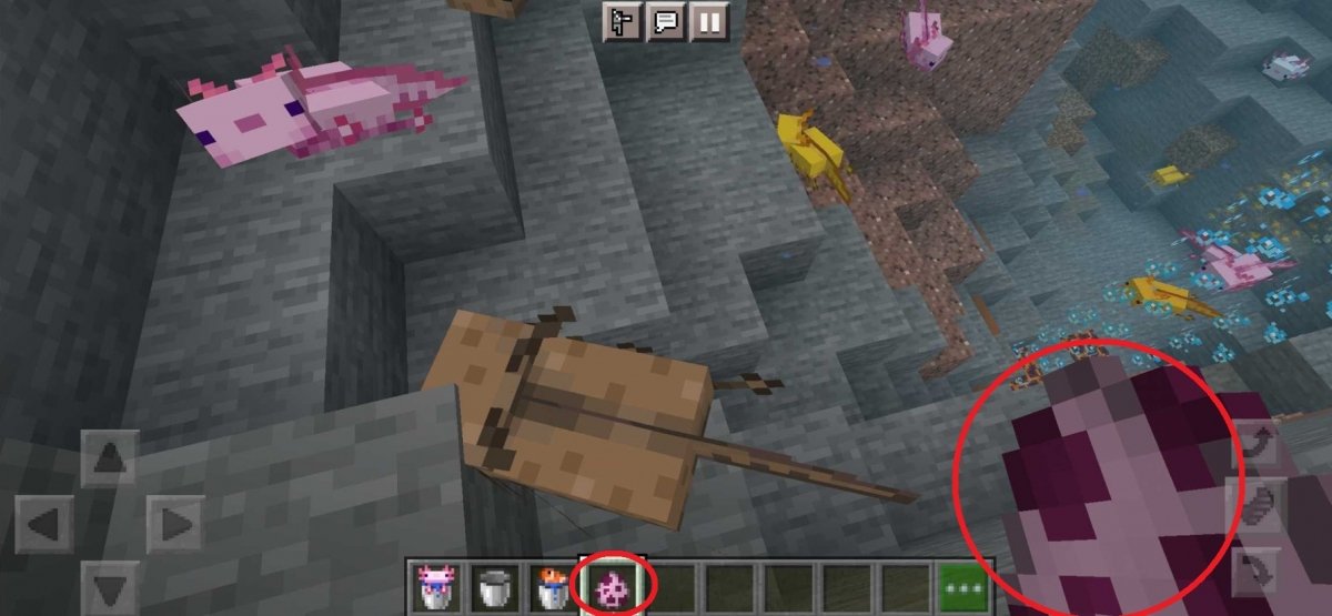 Axolotl Owner in Minecraft