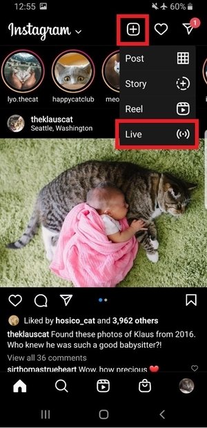 Open Instagram and start a live video