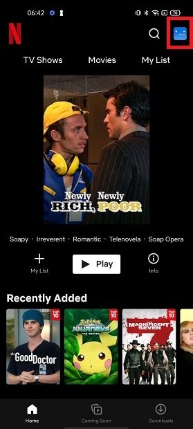 Open Netflix settings