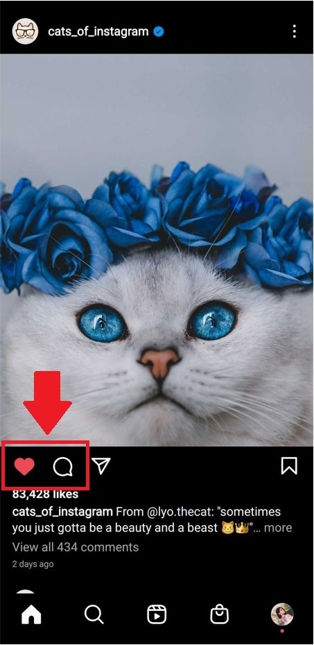 How to easily get more likes on Instagram