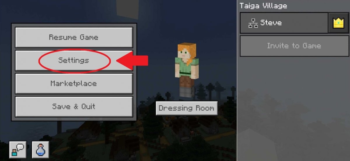 Go to the settings in Minecraft