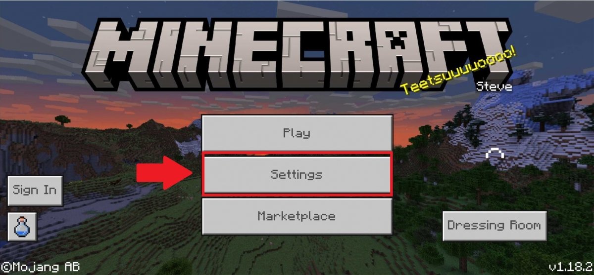 Go to Minecraft Settings