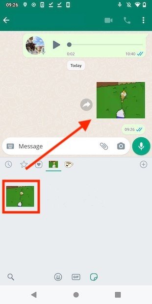 Use the package in WhatsApp