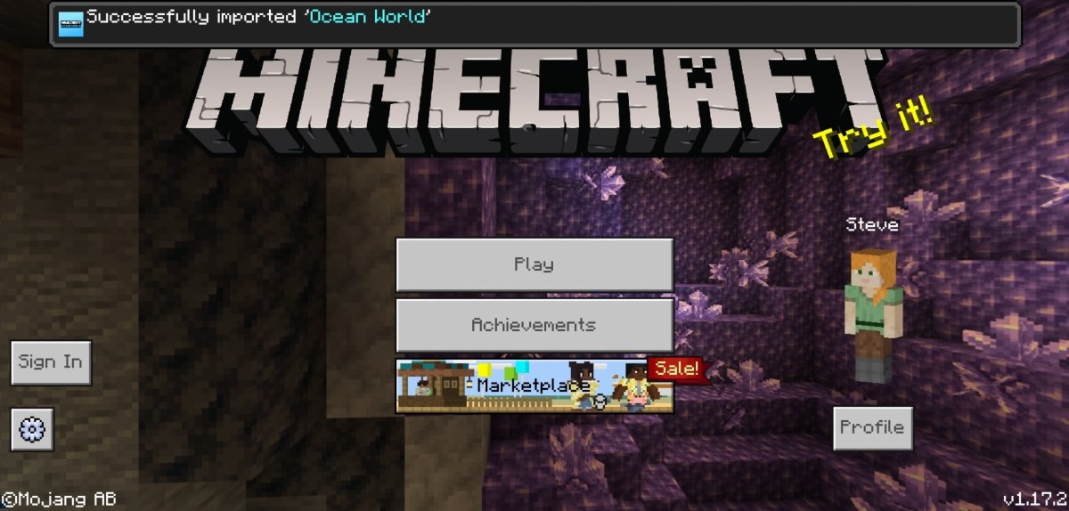Minecraft will open with a message about the successful installation of the mod