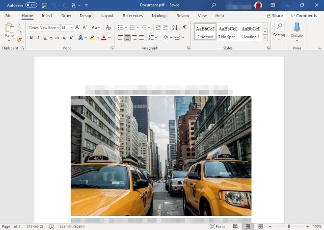 PDF document converted to Word