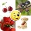 Download Popular Stickers Android