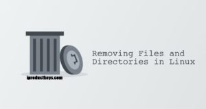 How to Remove (Delete) Files and Directories in Linux