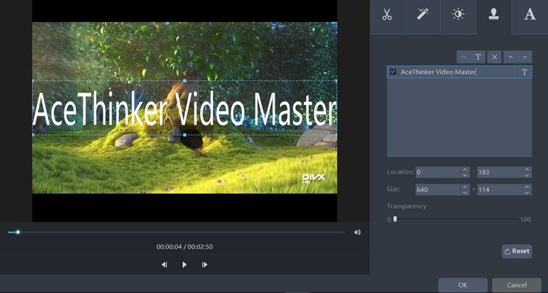  AceThinker Video Master watermark feature