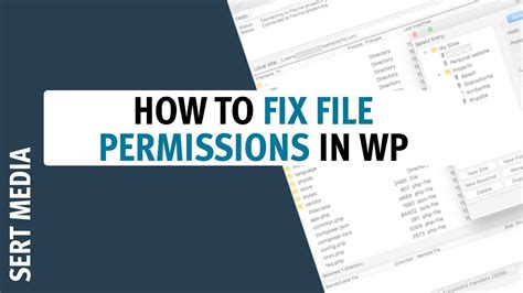 Navigating the Blues: Decoding File and Folder Permission Problems and Solutions